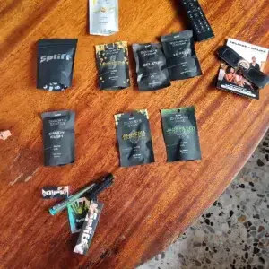 Customer review Magic Pod x2 with photo - Spliff