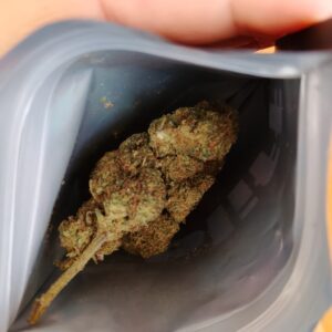 Customer review Mind Fucker with photo - Spliff