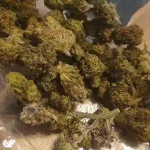 Customer review Minibud Cali USA with photo - Spliff