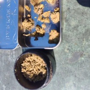 Customer review Minibud Cali USA with photo - Spliff