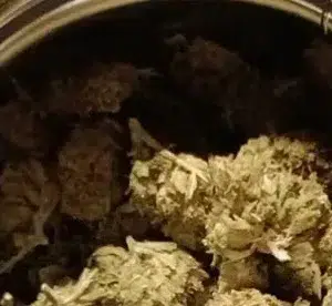 Customer review Minibud Premium Superskunk with photo - Spliff