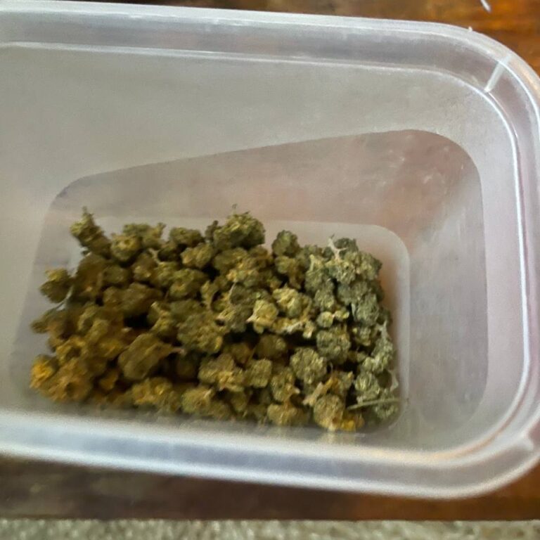 Customer review Minibud Premium Superskunk with photo - Spliff