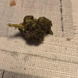 Customer review Minibud Premium with photo - Spliff