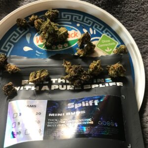 Customer review Minibud Premium with photo - Spliff