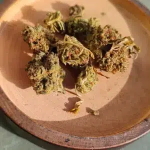 Customer review Minibud Premium with photo - Spliff