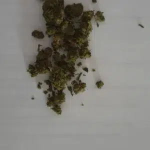 Customer review Minibud Premium with photo - Spliff