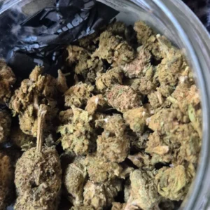 Customer review Minibud Premium with photo - Spliff