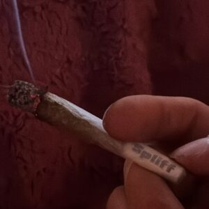 Customer review Minibud Premium with photo - Spliff