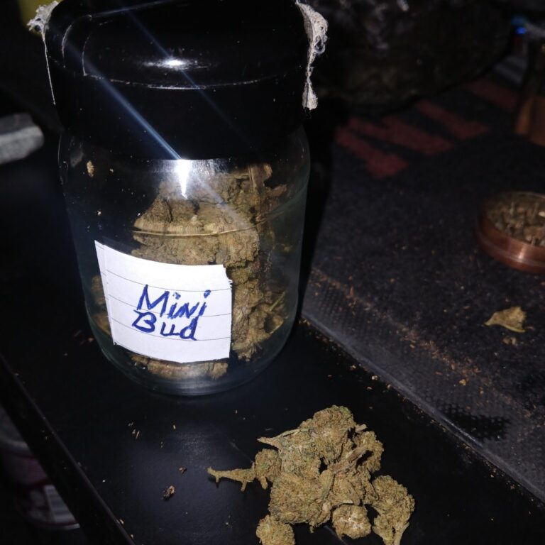 Click to view full screen Customer review Minibud Premium with photo - Spliff