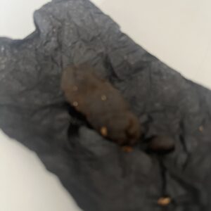 Customer review Nepali with photo - Spliff