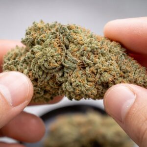 Customer review OG Kush with photo - Spliff