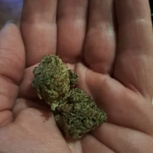 Customer review Orange Bud with photo - Spliff