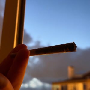 Customer review Pre-roll THCX joint - Jack Herer with photo - Spliff