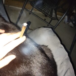 Customer review Pre-roll THCX joint - Jack Herer with photo - Spliff