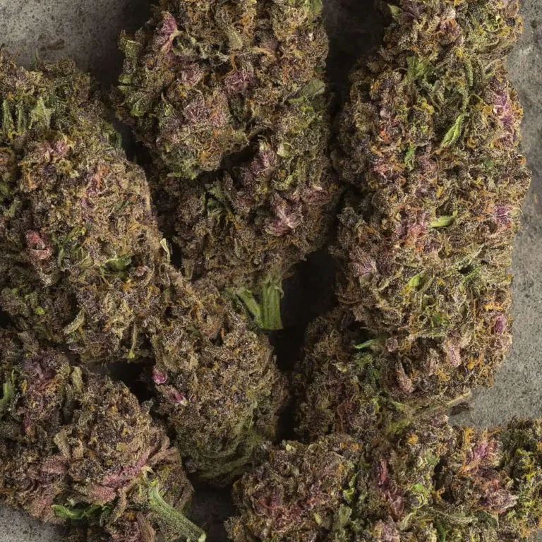 Click to view full screen Customer review Purple Haze with photo - Spliff