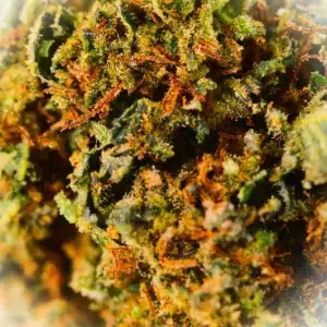 Customer review Sapphire with photo - Spliff