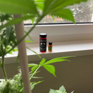 Customer review THC Syrup - Magic Potion with photo - Spliff