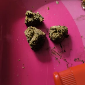 Customer review Sour Diesel with photo - Spliff